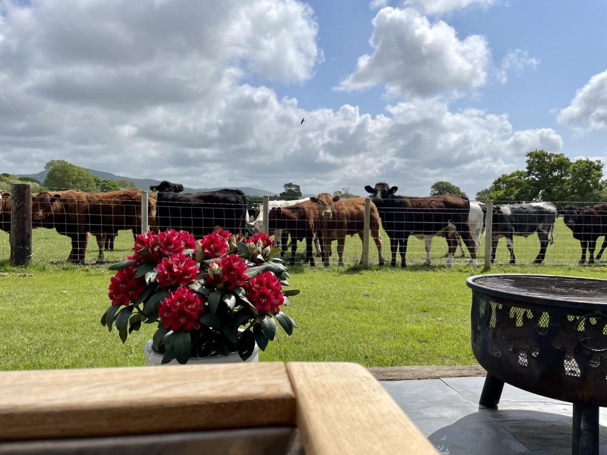 Hotel Abbey Farm Luxury Glamping à Rhuddlan Extérieur photo